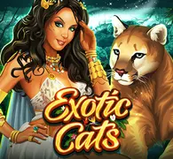 Exotic Cats — game at Billion Club